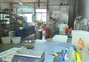“持證”生產亂象 豆制品廠驚現“蘄艾蛆蟲”？監管與自律的警示